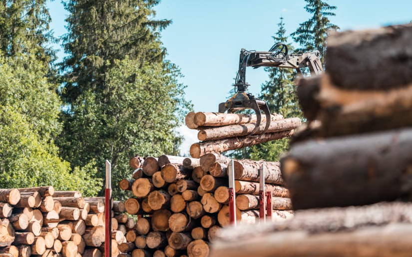 Responsible Sourcing of Forest Products: The roles for govt licensed timber and third-party cert