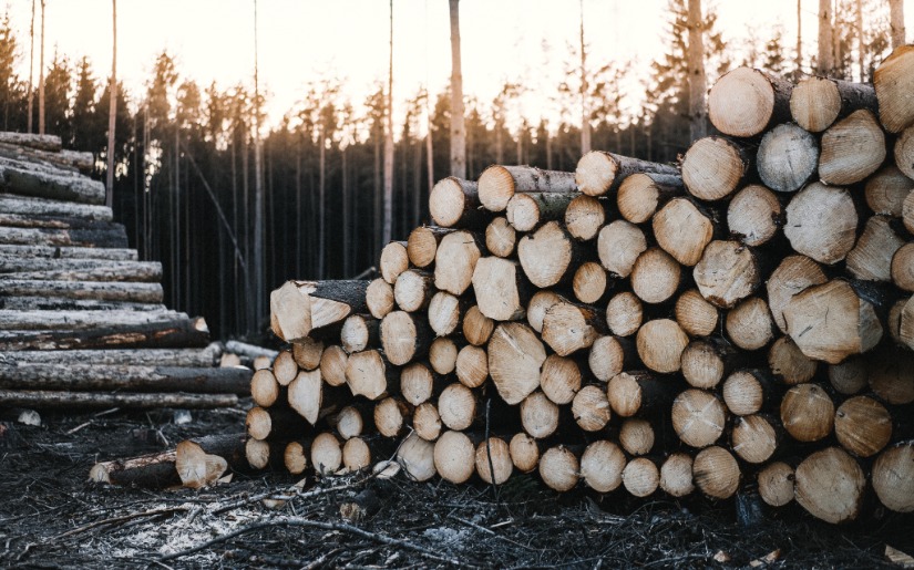 Understanding Organic Certification Standards and their application to Forest Products