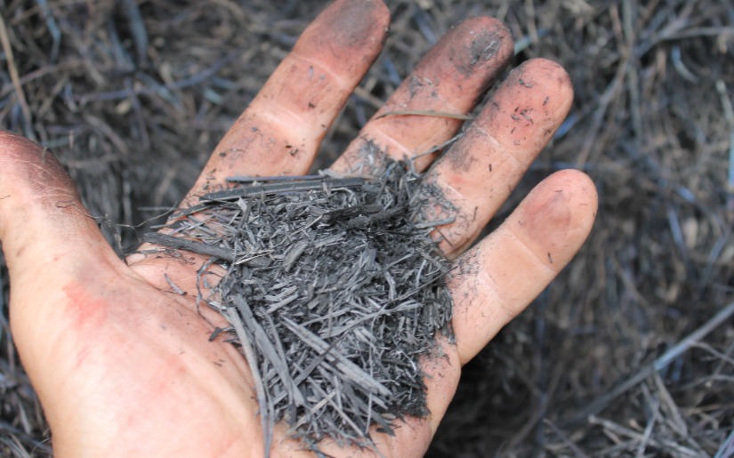 Biochar as an Innovative Wood Product: A Look at Barriers to Realization of its Full Potential
