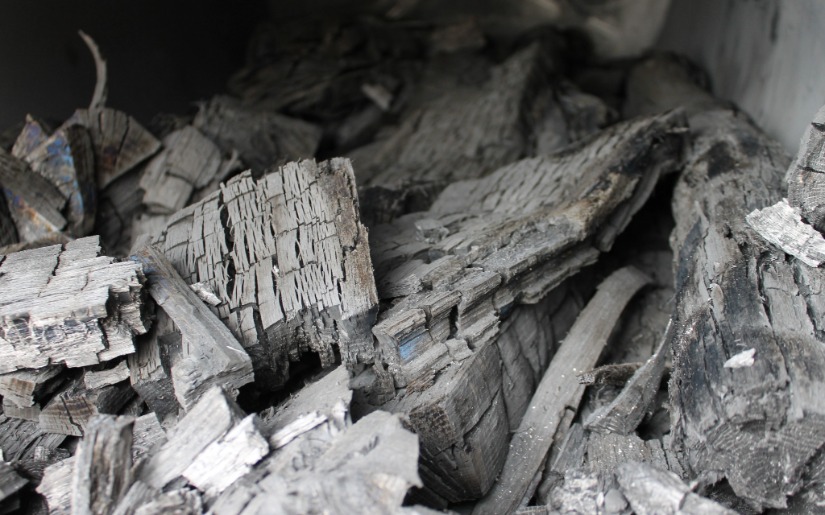 Survey and Analysis of the US Biochar Industry
