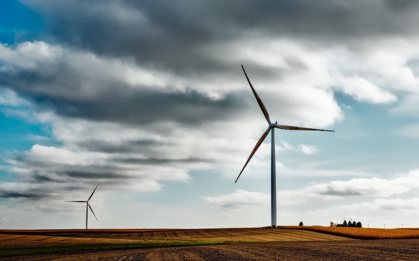 Post-construction Wildlife Monitoring at Wind Energy Facilities